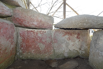 20250919saizon migi.jpg(145432 byte)